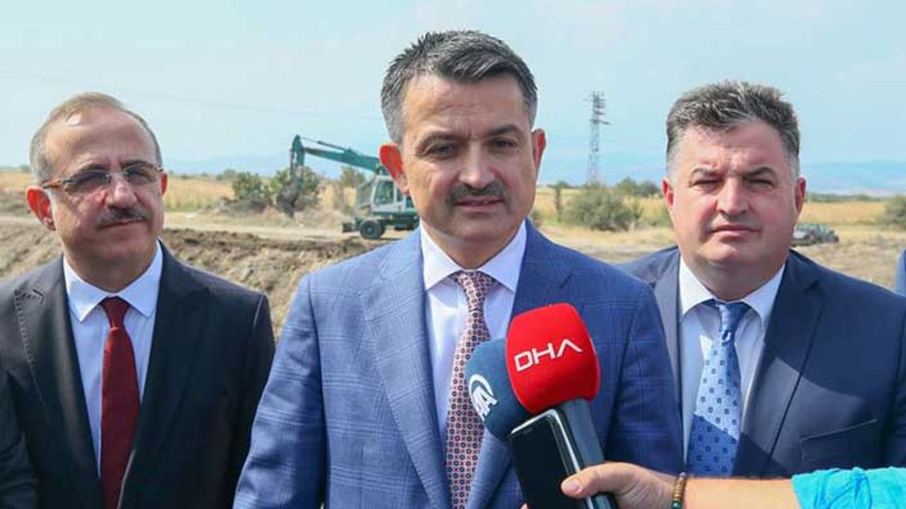 Pakdemirli: Yangında terör bağlantısı mevcut