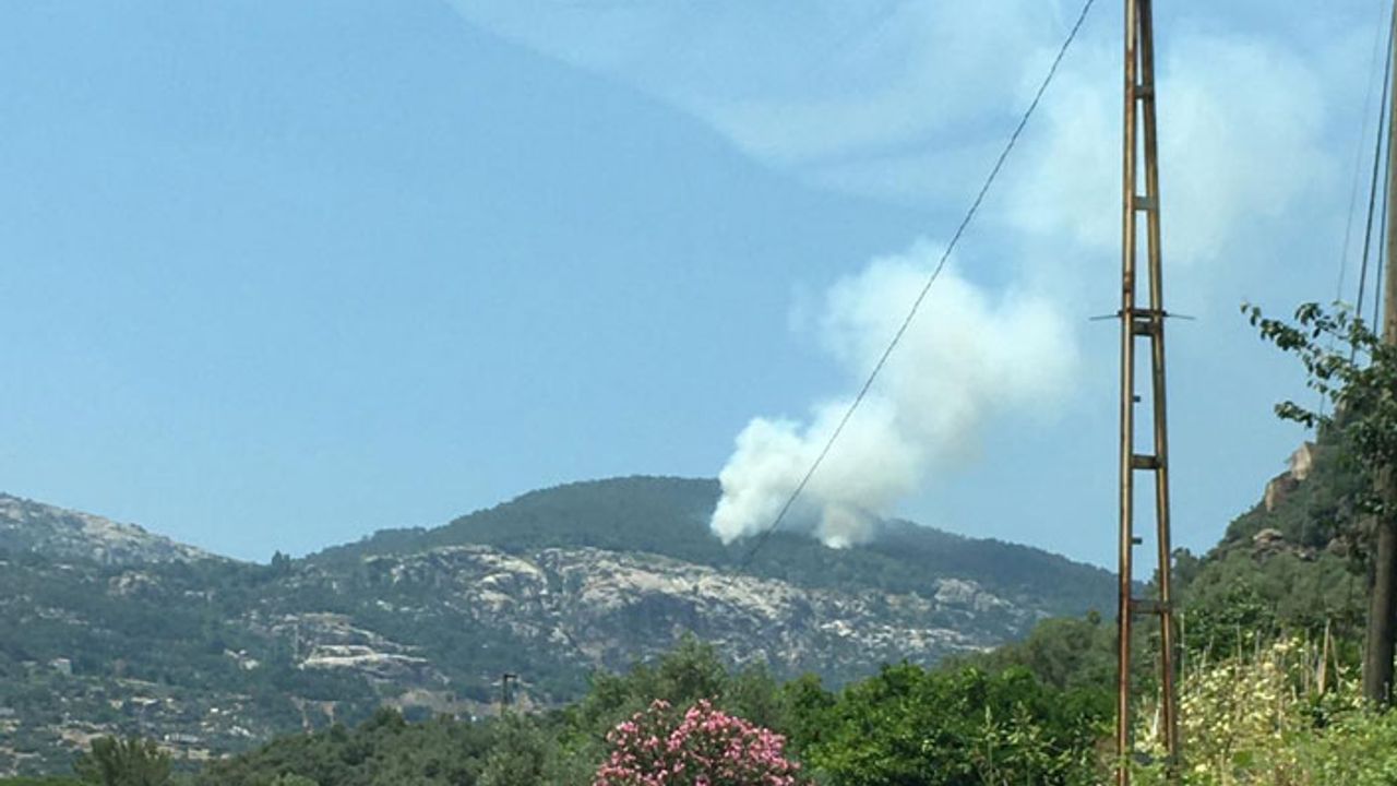Muğla'da çıkan orman yangınına müdahale ediliyor