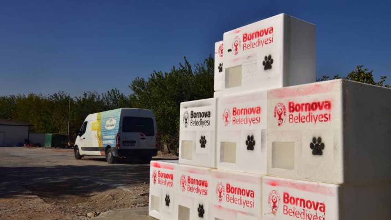 Bornova kış aylarında da can dostlarının yanında