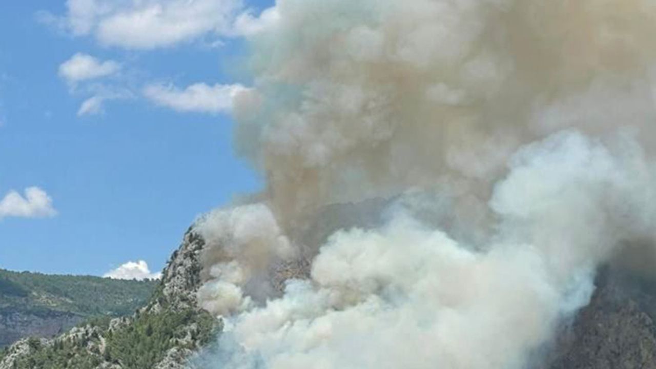 Alanya'da orman yangını çıktı