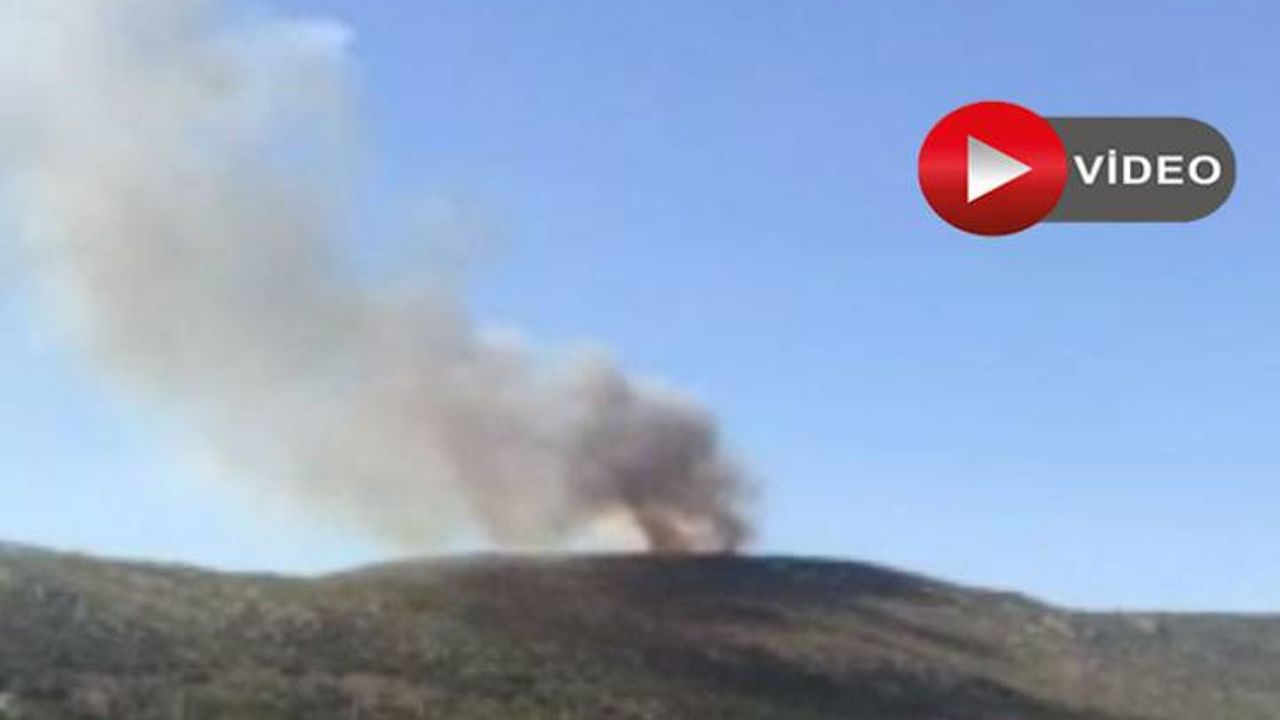 İzmir'de iki ayrı bölgede orman yangını