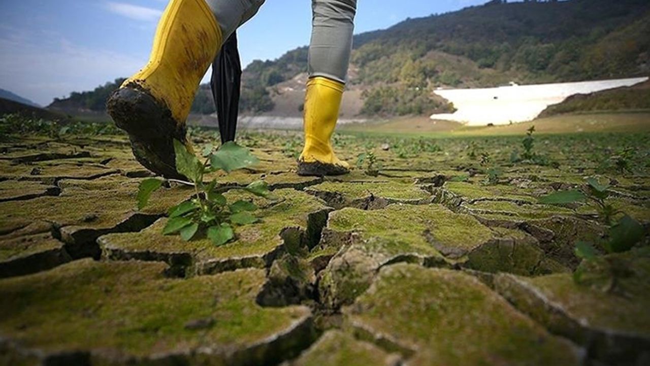 'Yarının gıdası' gen araştırmalarıyla garanti altına alınacak
