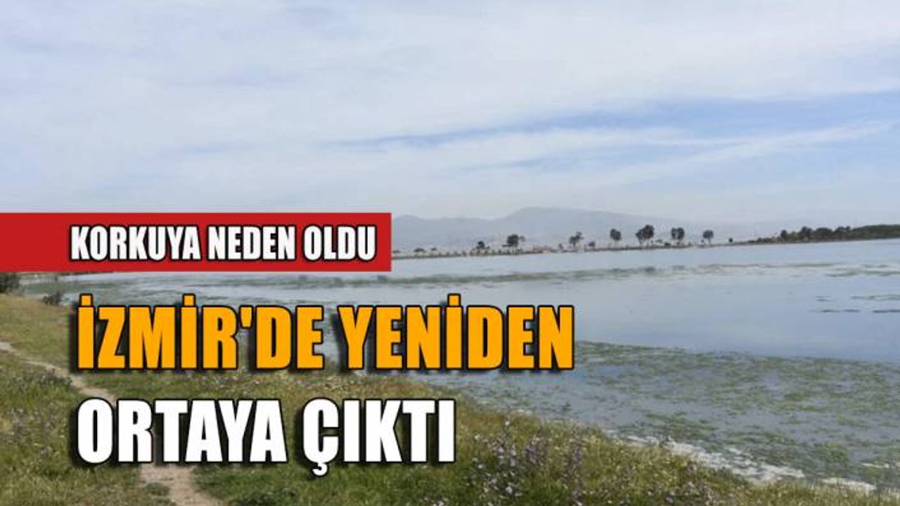 İzmir'de yeniden ortaya çıktı