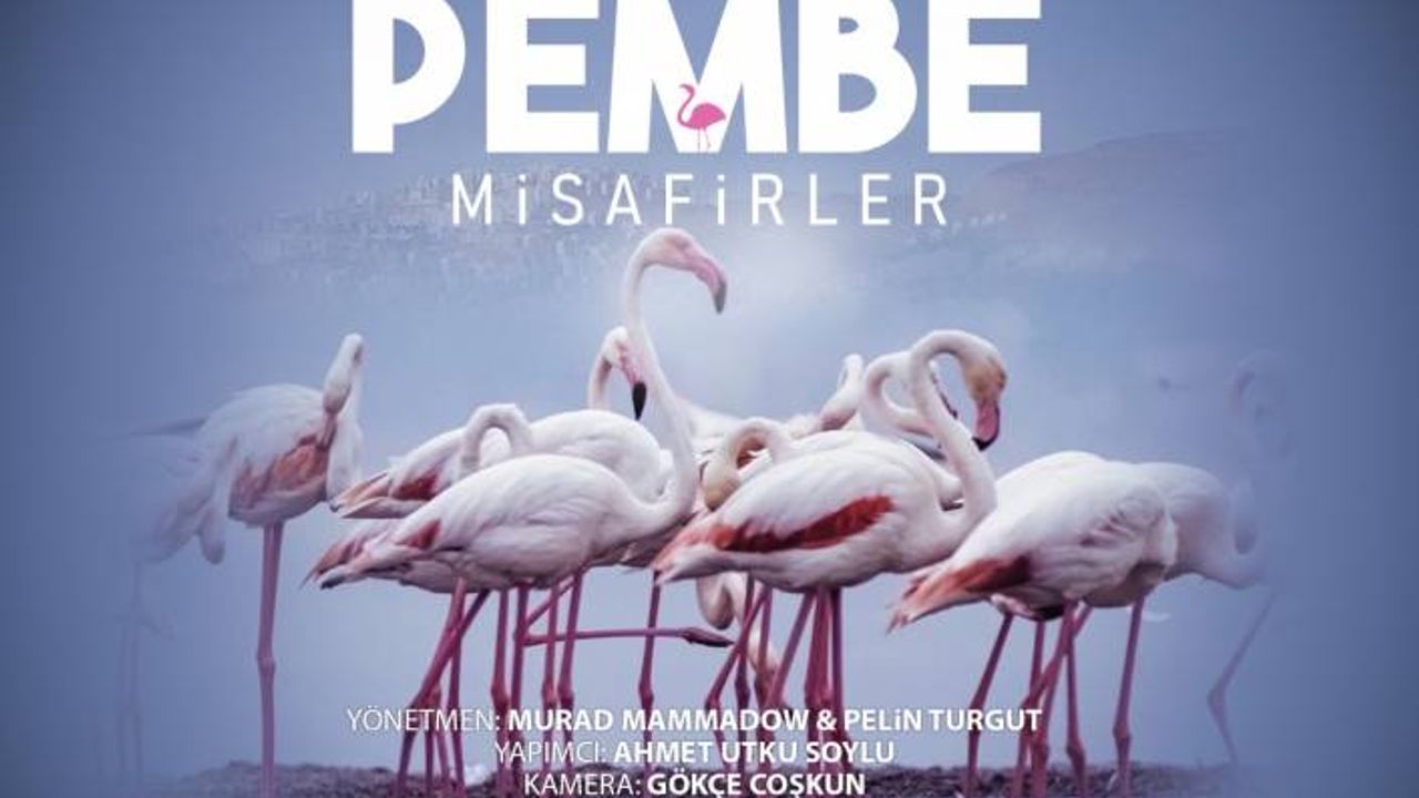 Çiğli’nin “Pembe Misafirleri” Berlin'de Boy Gösterecek