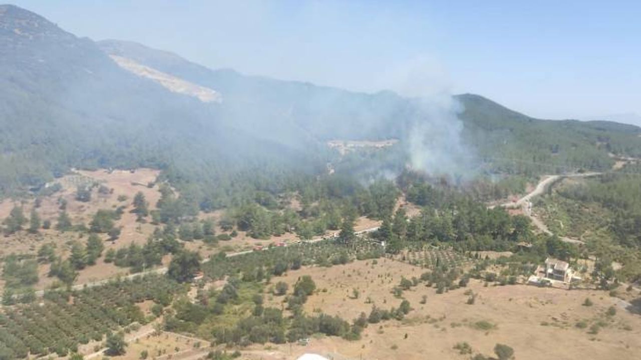 Seferihisar'da çıkan yangınlar kontrol altına alındı