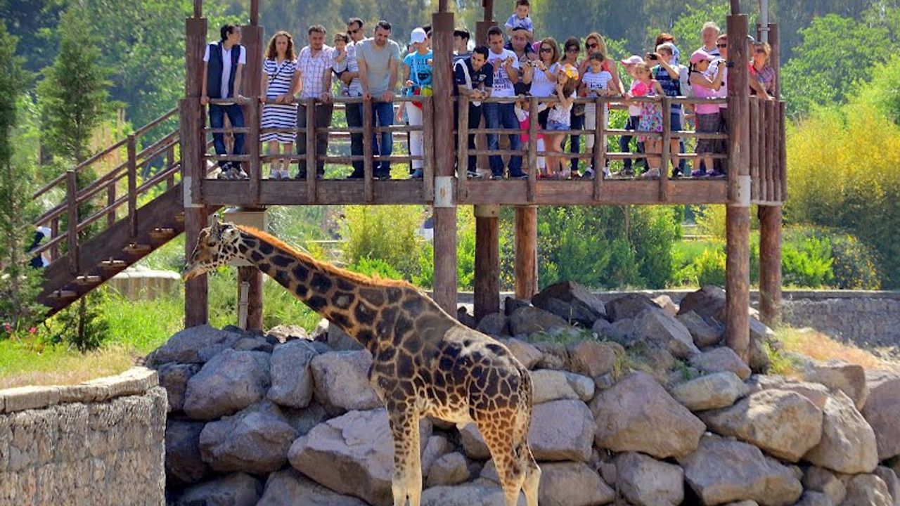 İzmir hayvanat bahçesi bilet fiyatları 2023,  İzmir Doğal Yaşam Parkı 2023 giriş fiyatı
