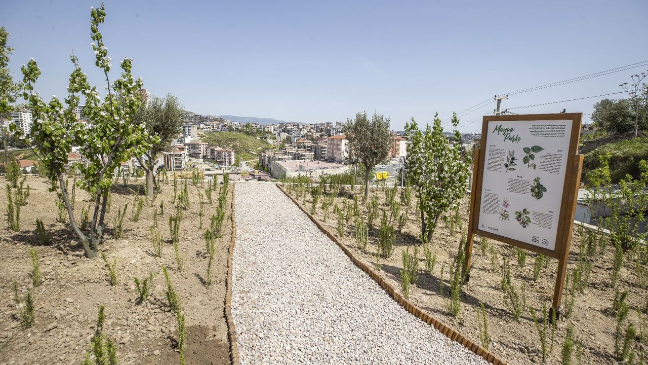 İzmir'de bir yılda 10 Buca Cezaevi kadar yeşil alan