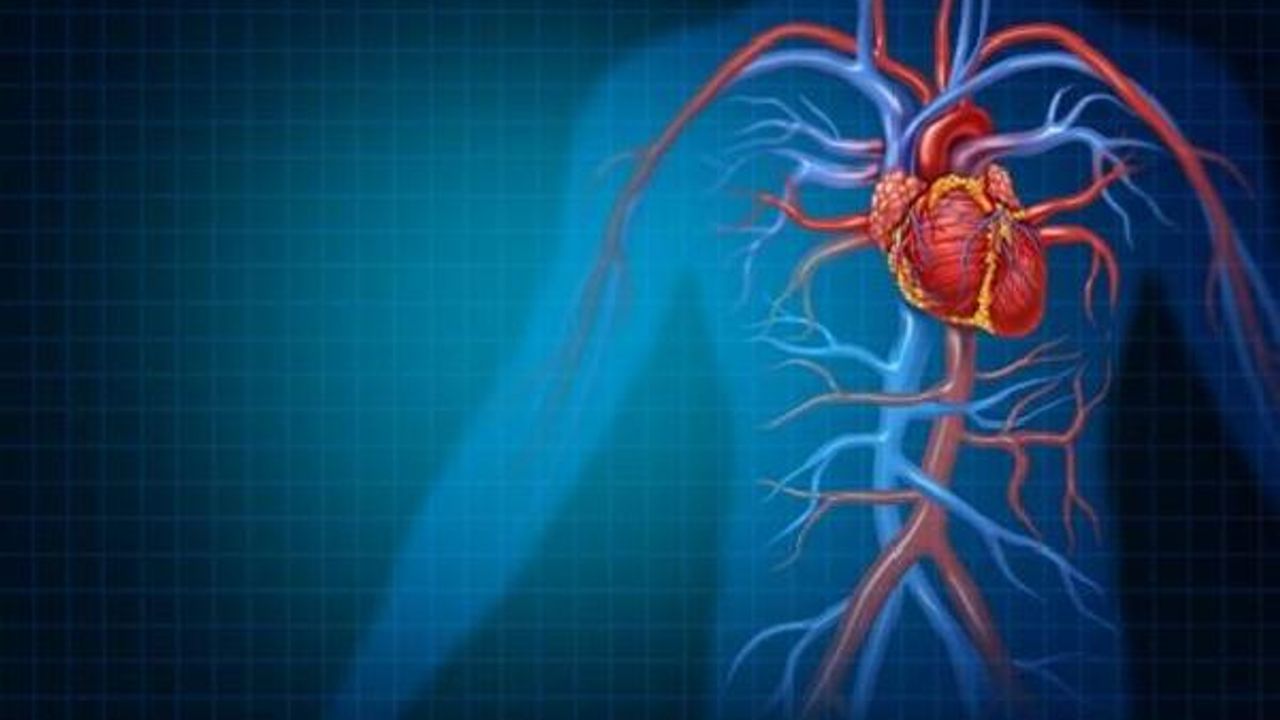 Damar tıkanıklığının tetiklediği kalp krizi, ani ölüme yol açabilir
