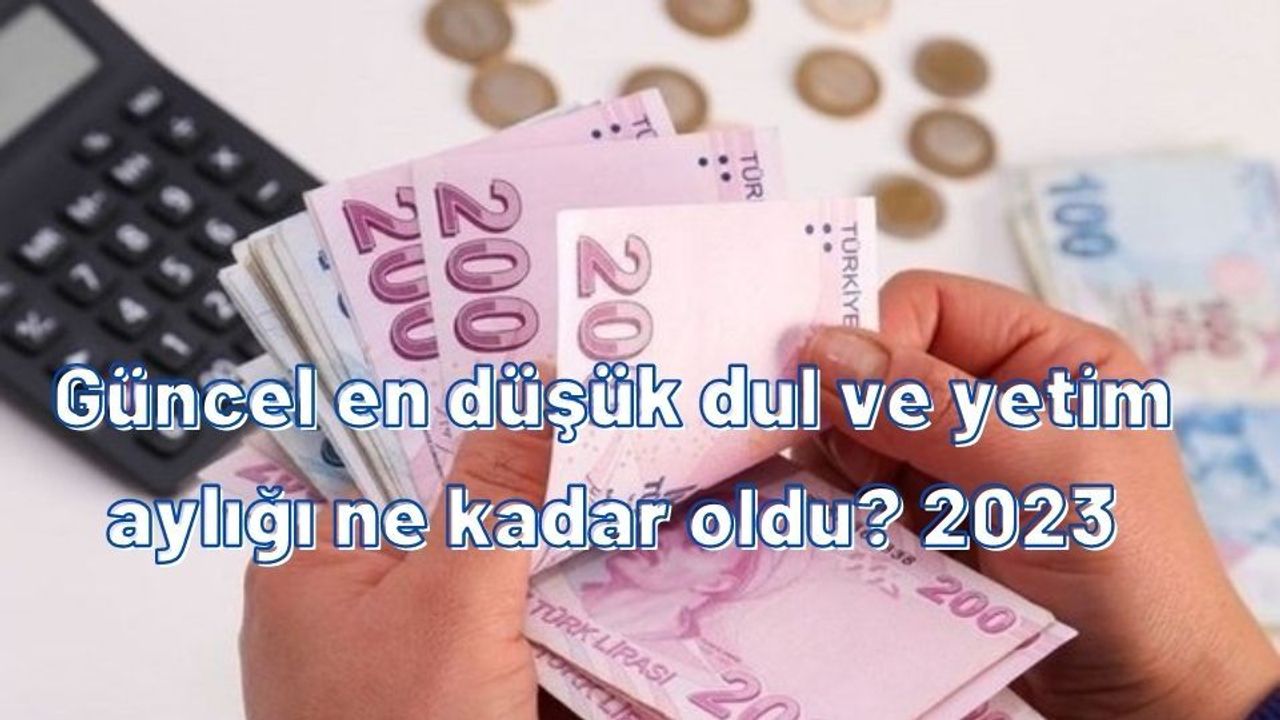 Güncel En Düşük Dul Ve Yetim Aylığı Ne Kadar Oldu? 2023 En Düşük Dul Ve ...