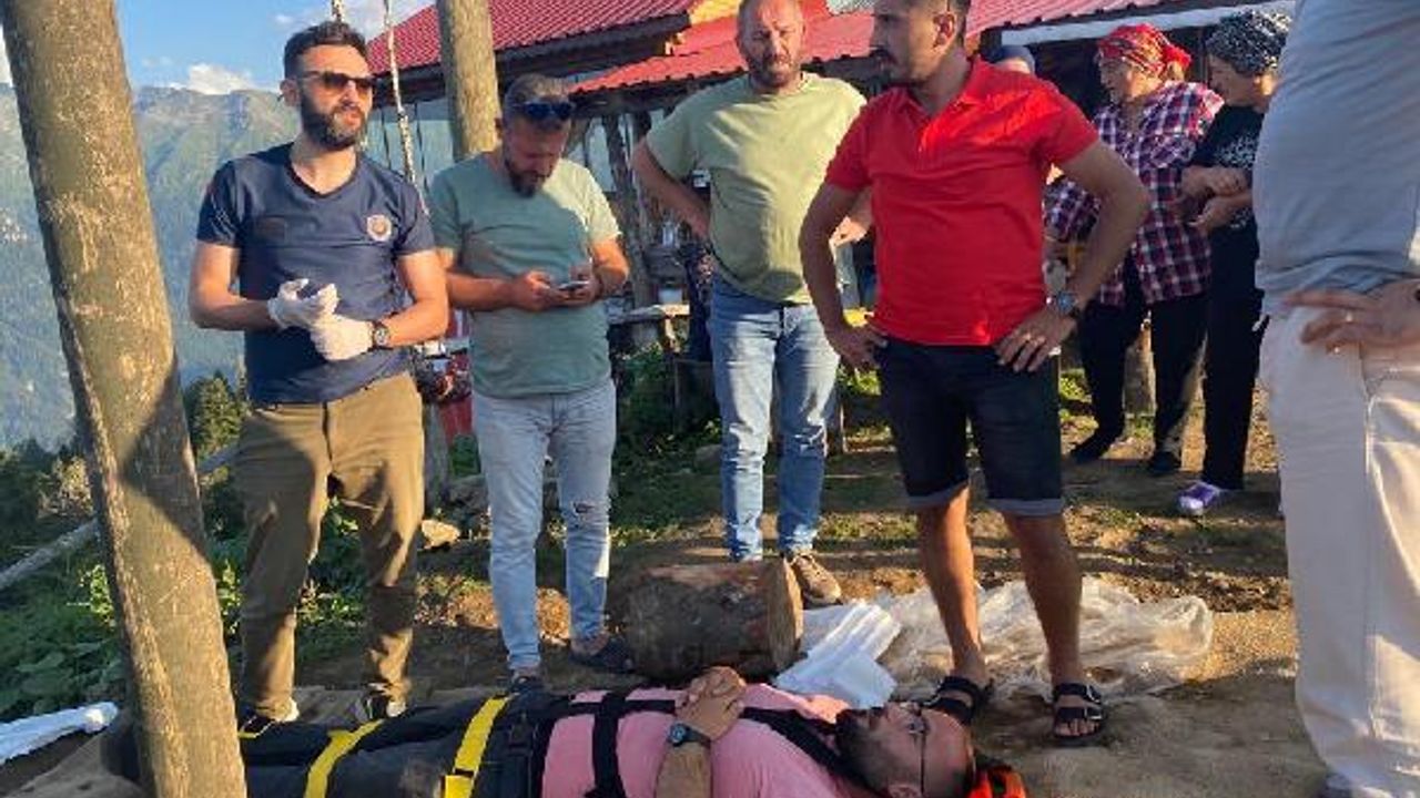 Salıncakla ineğe çarpan turizmci yaralandı