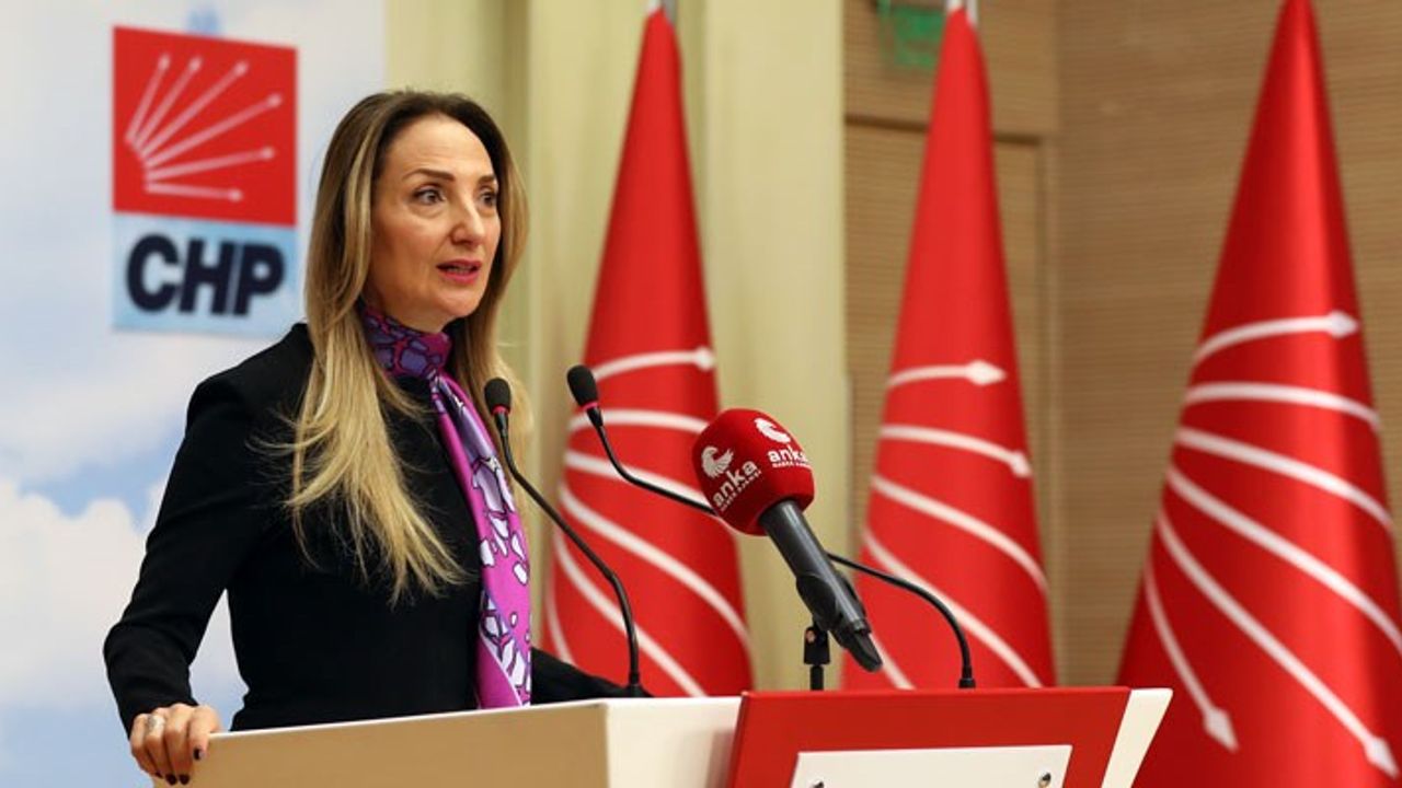 CHP Kadın Kolları, Yerel Seçimlerde 49 Belediyeye Bayrak Dikme Hedefi Koydu