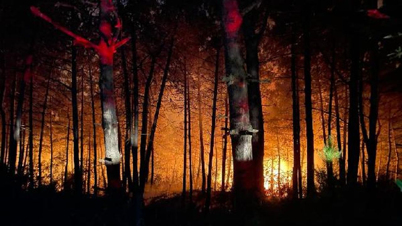 Çekmeköy’de orman yangını