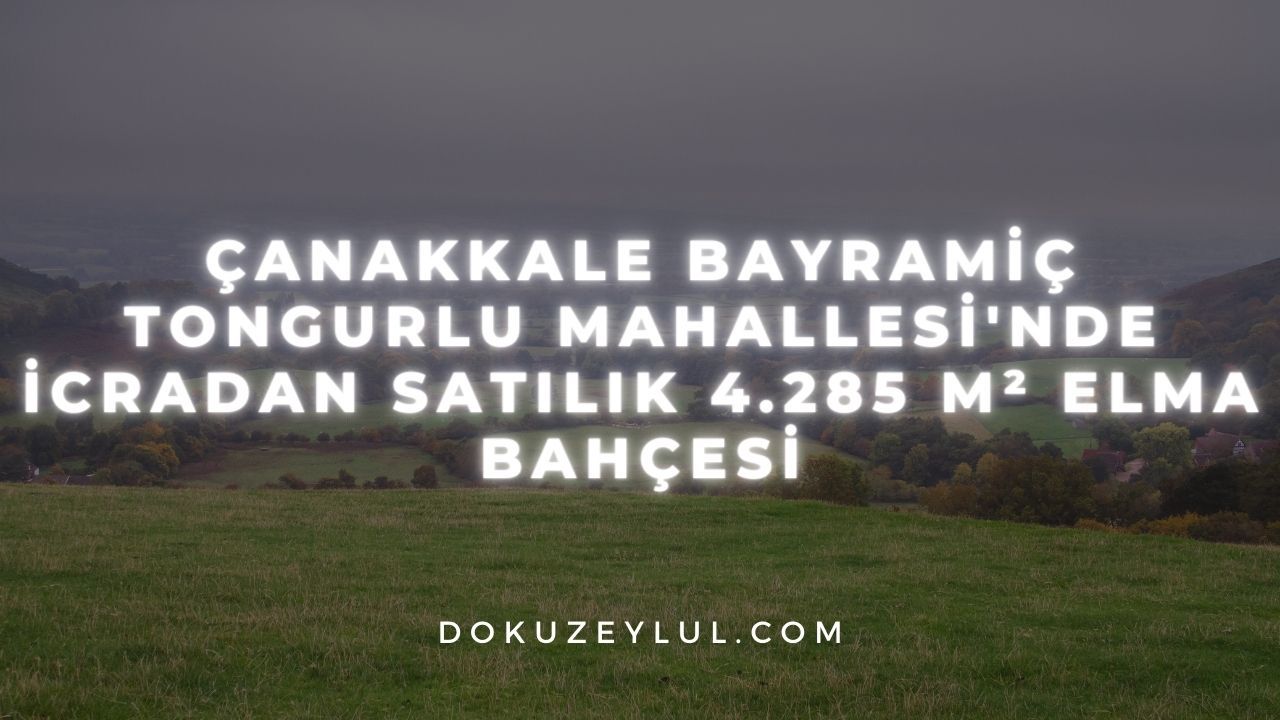 Çanakkale Bayramiç Tongurlu Mahallesi'nde icradan satılık 4.285 m² elma bahçesi