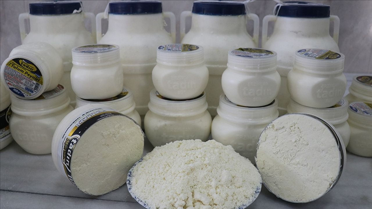 Sarıgül’ün ‘Can Erzincan’ın tulum peyniri’ açıklamasıyla gündem olmuştu! Erzincan tulum peynirinin özellikleri nedir?