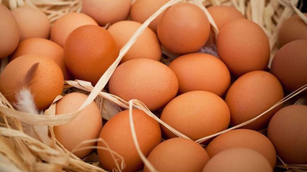 Migros desteğiyle Ordu'da 35 milyon yumurta üretiliyor