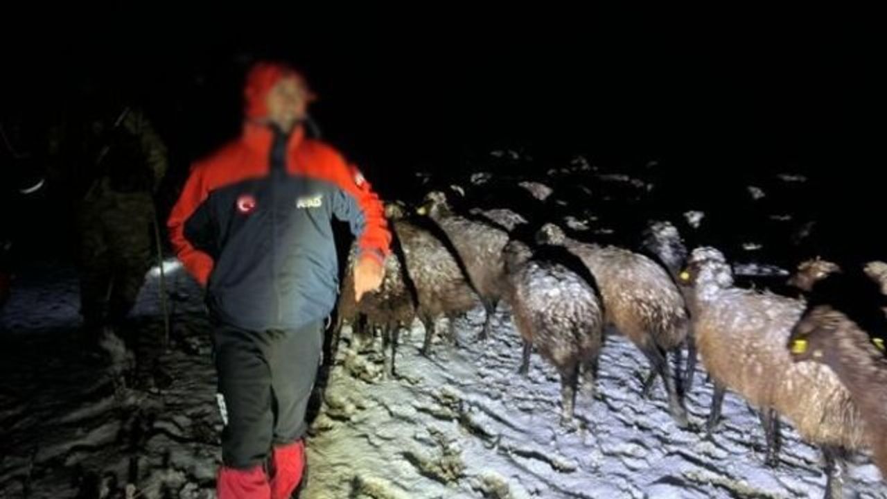 3 çoban ve 3 bin küçükbaş ölümden kurtarıldı!