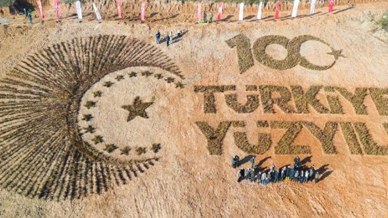 Düzce’de Türkiye Yüzyılı logolu hatıra ormanı