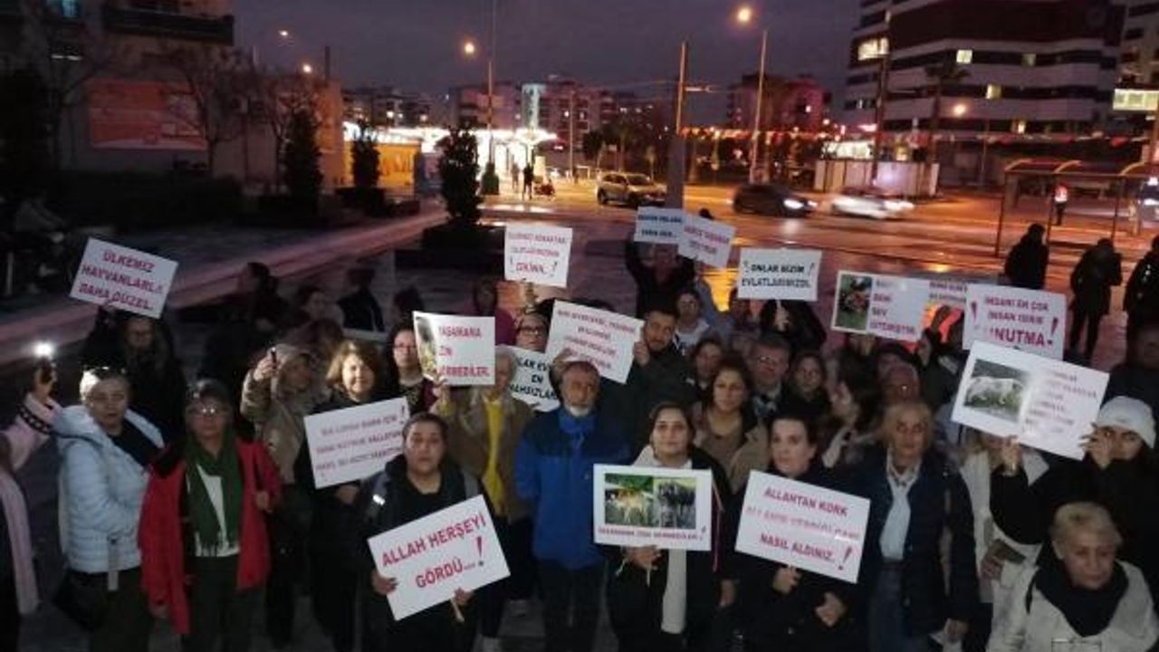 İzmir'de köpek ölümlerine tepki için yürüyüş