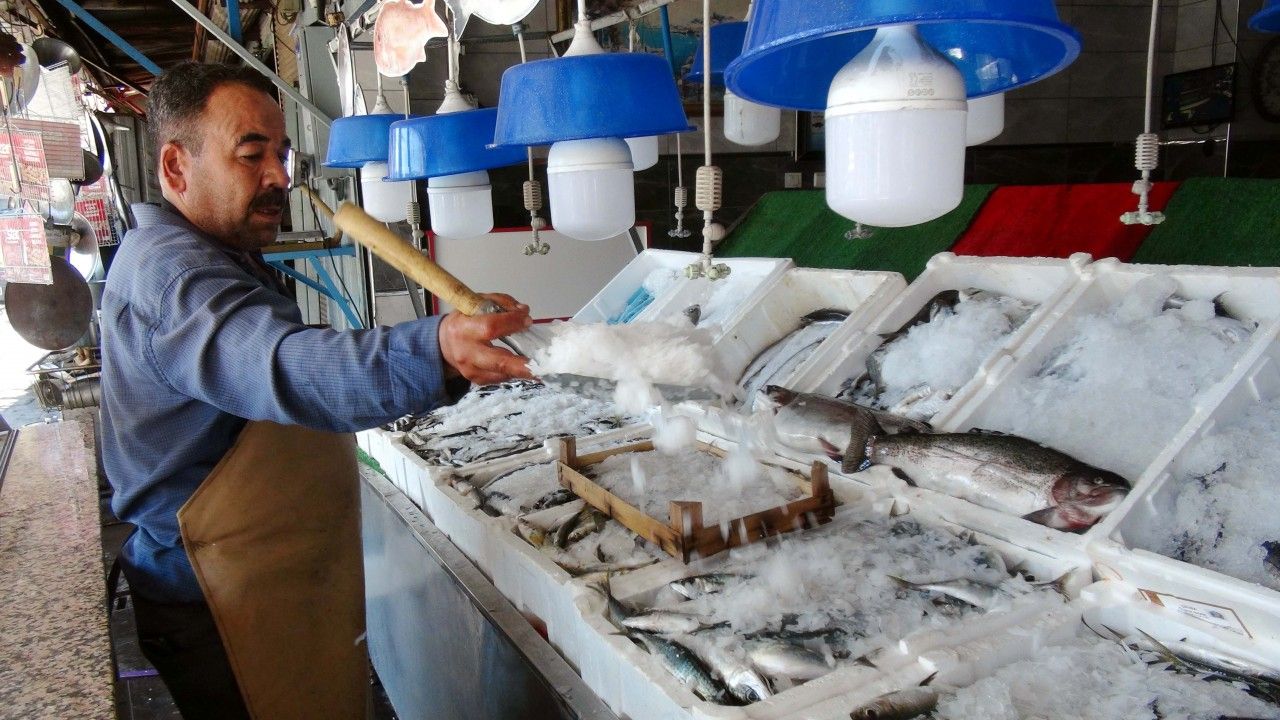 Kilis’te av yasağı bitti, balıklar tezgahlardaki yerini aldı