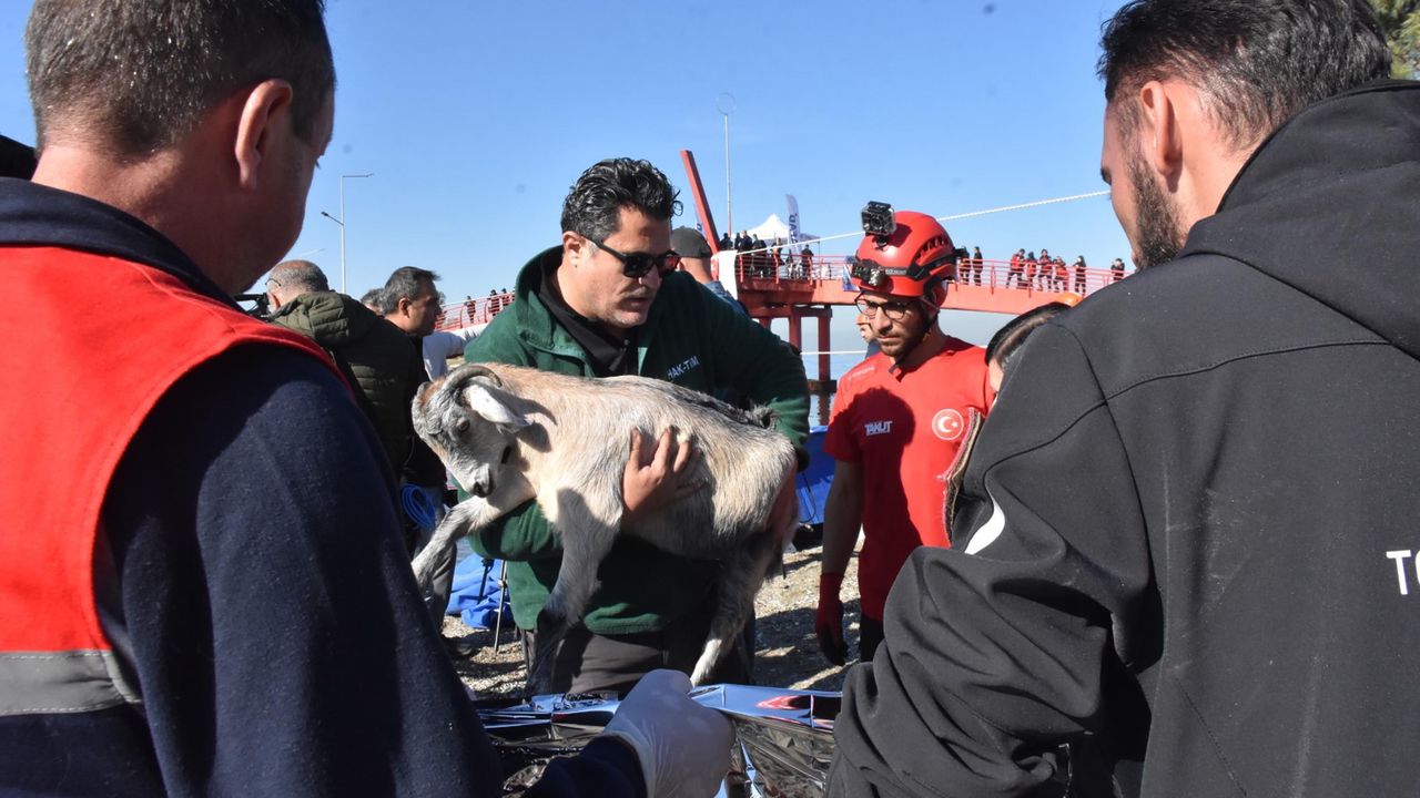 Sındırgı depreminde yaralar sarılıyor