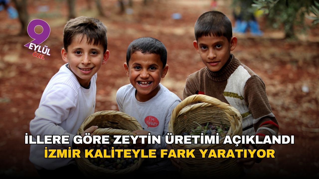 İllere göre zeytin üretimi açıklandı: İzmir kaliteyle fark yaratıyor