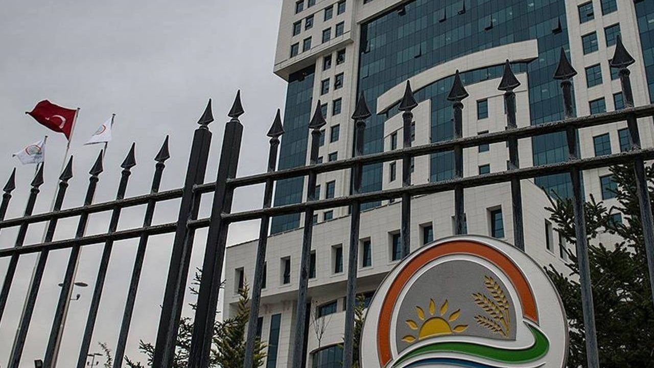 Tarım ve Orman Bakanlığı sözleşmeli personel alacak