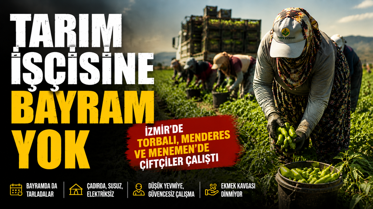 İzmir’de tarım işçileri bayramı tarlada geçiriyor: Sıcak ve zorlu koşullar sürüyor