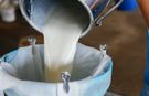 Çiğ süt üretimi 2023 yılında azaldı!