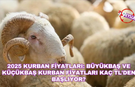 2025 Kurban fiyatları: Bu sene büyükbaş ve küçükbaş kurban fiyatları kaç TL'den başlıyor?