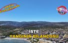 İzmir'in ciğerleri yandı: İşte yangının bilançosu
