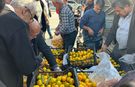 Alıcısı çıkmayan tonlarca mandalina ücretsiz dağıtıldı