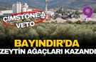 İzmir Bayındır’da zeytin ağaçlarının zaferi: Çimstone’un dev sanayi projesine valilikten veto