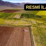 Bayındır Belediyesi tarla satıyor