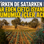 Üretirken de satarken de zarar eden çiftçi isyanda: Durumumuz içler acısı