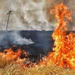 Torbalı’da anız alarmı