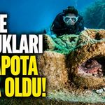 Midye kabukları ahtapota yuva oldu!