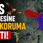 İzmir Aliağa'da RES projesine kuş koruma şartı!
