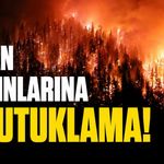 Orman yangınlarına 12 tutuklama!