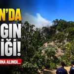 Aydın'da yangın paniği! Kontrol altına alındı...