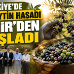 Türkiye’de ilk zeytin hasadı İzmir’den başladı