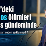 İzmir’deki orkinos ölümleri Meclis gündeminde