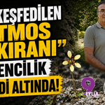 Yeni keşfedilen "Latmos Taşkıranı" madencilik tehdidi altında