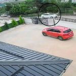 Sürücü Köpeğe Çarpıp Kaçtı: 10 Yaşındaki Küçük Kız Baygınlık Geçirdi!