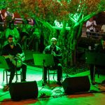 Zeytin ağacının altında 'Gece Makamı' ezgileri
