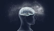 Ehliyette IQ Testi Başlıyor mu? İşte Merak Edilenler!