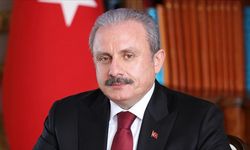 Şentop'tan başörtüsü için referandum çıkışı!