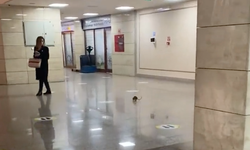 Adliye koridorlarında dev sıçan paniği!