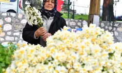 Karaburun nergisleri betona gömülmesin