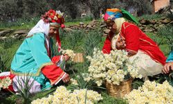 Nergis Karaburun'u bereketlendirdi