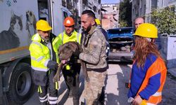 İzmir Büyükşehir Belediyesi depremde etkilenen hayvanları unutmadı